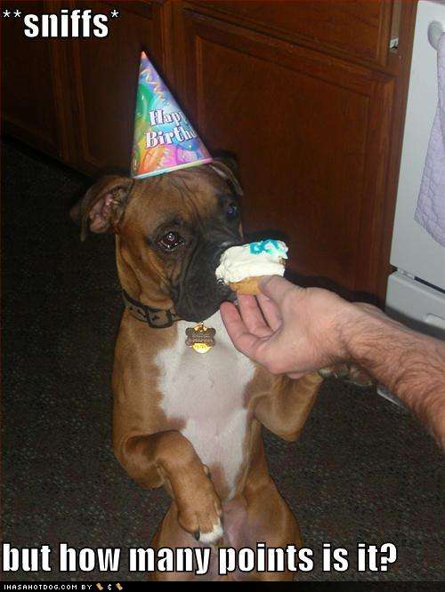 birthday funny dog